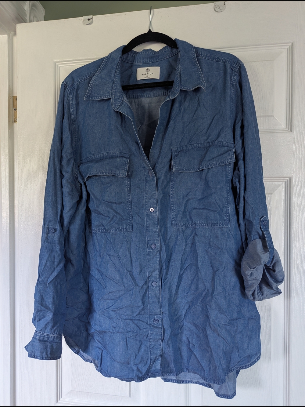 Aritzia Denim-Blue Button Down Shirt